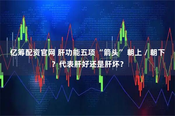 亿筹配资官网 肝功能五项 “箭头” 朝上 / 朝下？代表肝好还是肝坏？