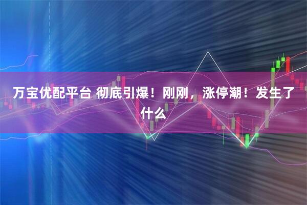 万宝优配平台 彻底引爆！刚刚，涨停潮！发生了什么